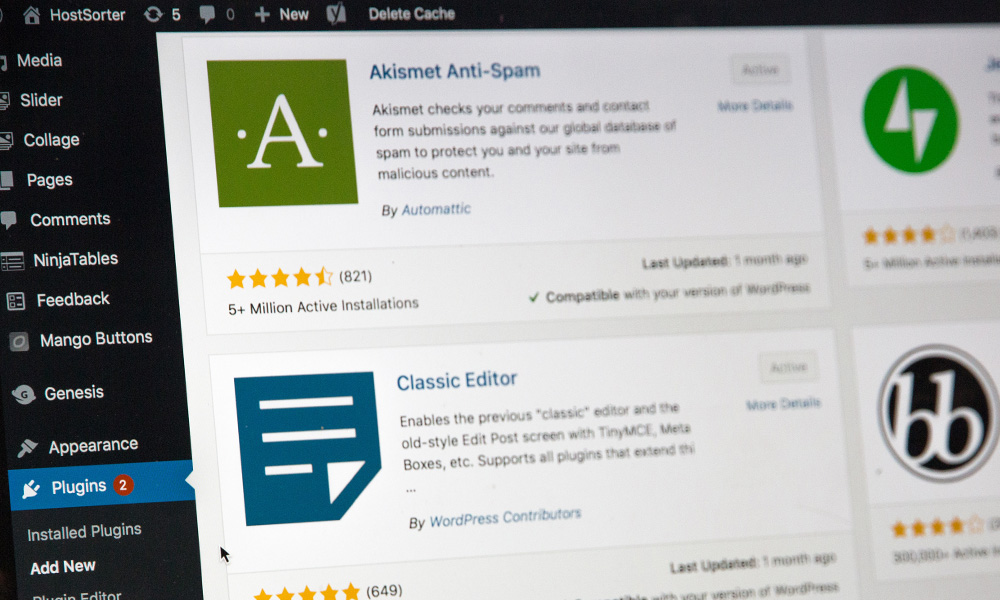 wordpress